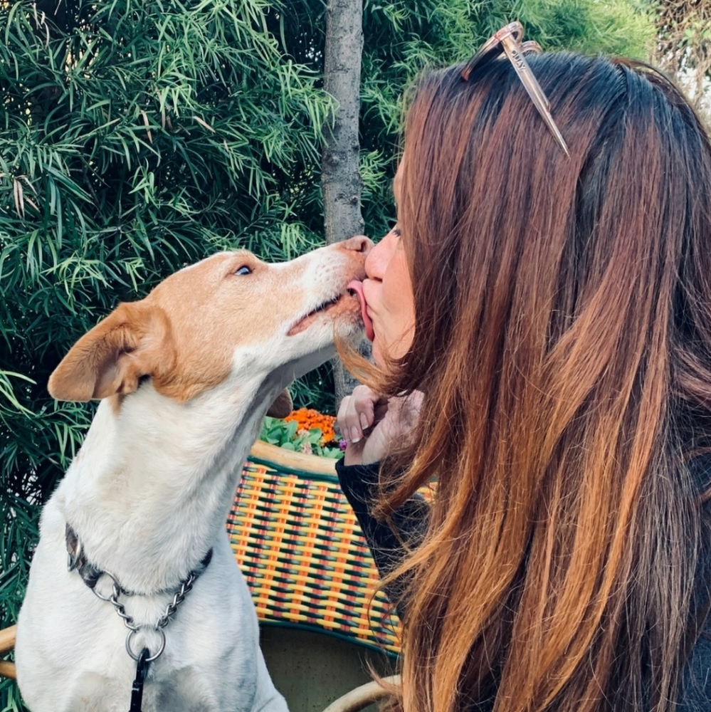 Meet your Posher, Sloane